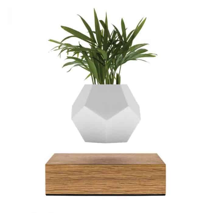 FLYTE Lyfe Planter